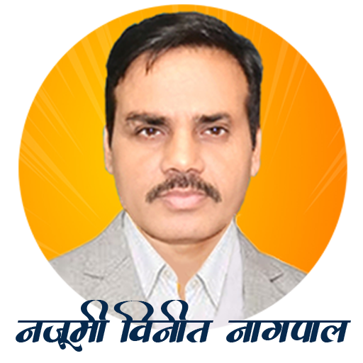 Nazumi Vaneet Nagpal CRM Logo